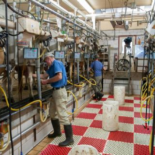 México presentará argumentos a EU ante amago de arancel del 10% por trabajo forzoso