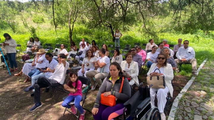 Festejan a "Sabino" por sus 800 años, le llevan pastel, es el más viejito de Guanajuato