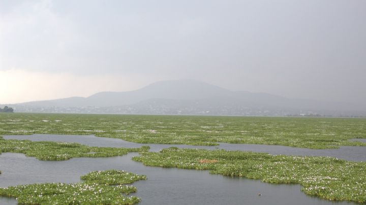 Territorio y narrativas de la comunidad de San Juan Zitlaltepec