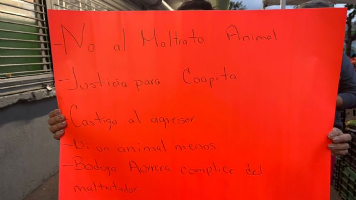 ¿Qué sabemos de la perrita agredida en tienda de Villa Coapa?