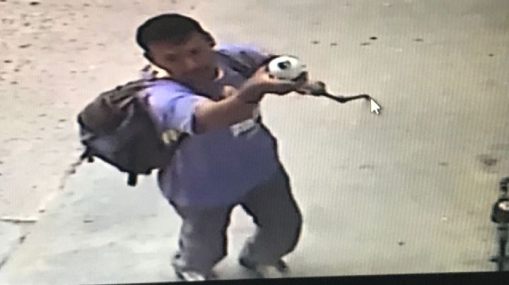 La Pedro Moreno: oscuridad, cristalazos y robos a casa habitación