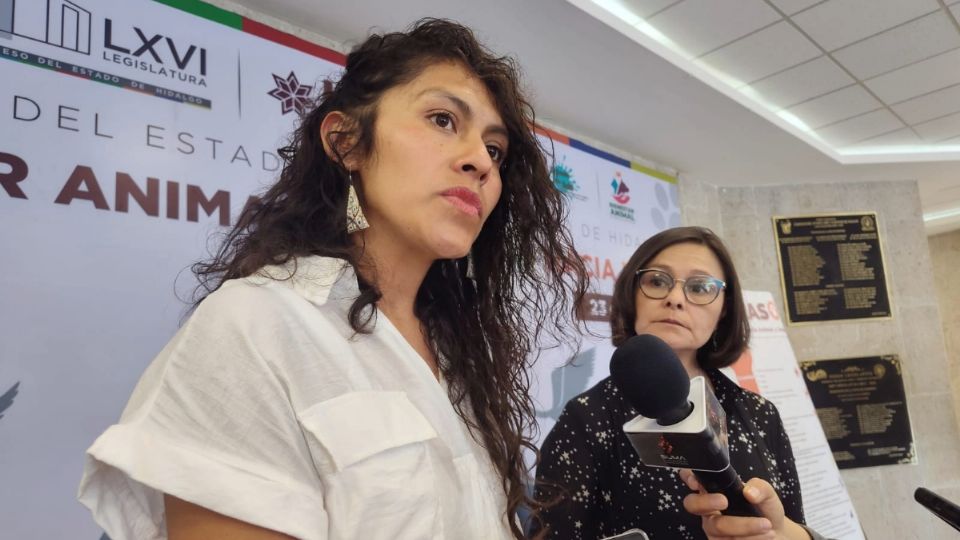Las activistas indicaron que la Santiagada fomenta la violencia