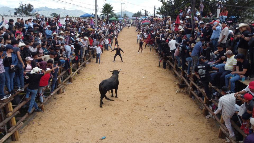 El evento está inspirado en la pamplonada de España