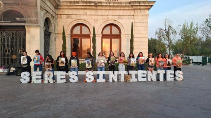 Es oficial, decreto constitucional que reconoce a los animales como seres sintientes