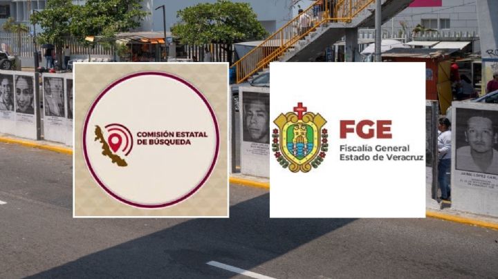 Ley 677 de desaparición de personas de Veracruz: nuevas sanciones y plazos de búsqueda