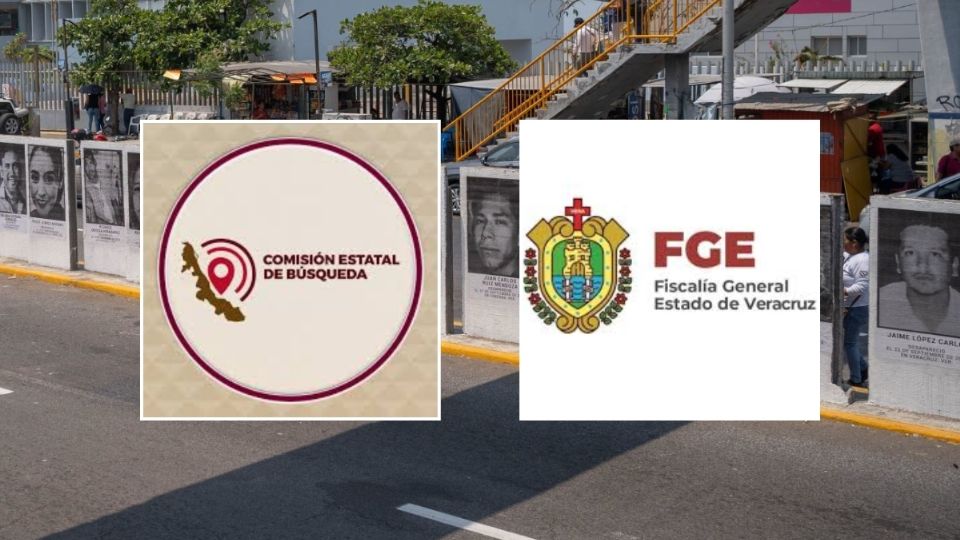 Ley de desaparición de personas de Veracruz: nuevas sanciones, plazos de búsqueda y registro estatal
