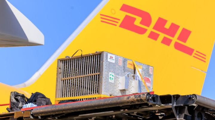 DHL limita paquetes a EU por nuevas tarifas aduaneras