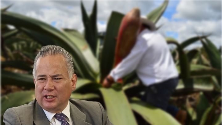 En breve, Hidalgo contará con Indicación Geográfica aguamielera: Santiago Nieto