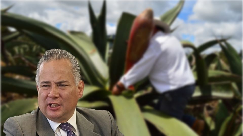 Es menos burocrática que una denominación de origen