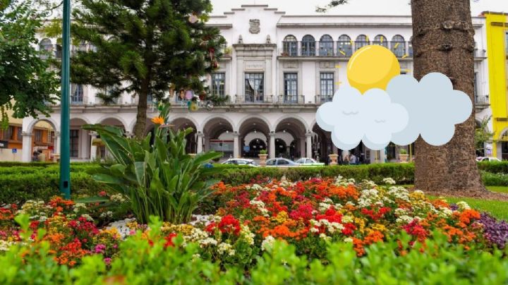 ¿Calor? Así estará el clima en Xalapa este lunes 04 de agosto