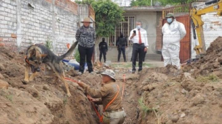 Encontraron 32 cuerpos en fosa clandestina de la Calera, Irapuato |VIDEO