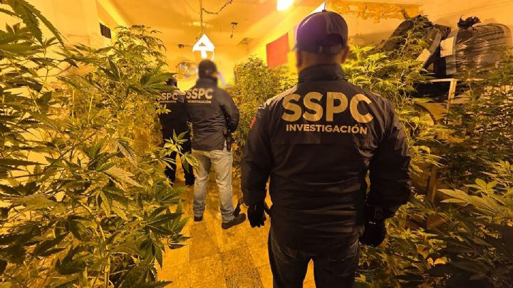 Detienen al "D3", ligado a La Familia Michoacana, en cateos en CDMX