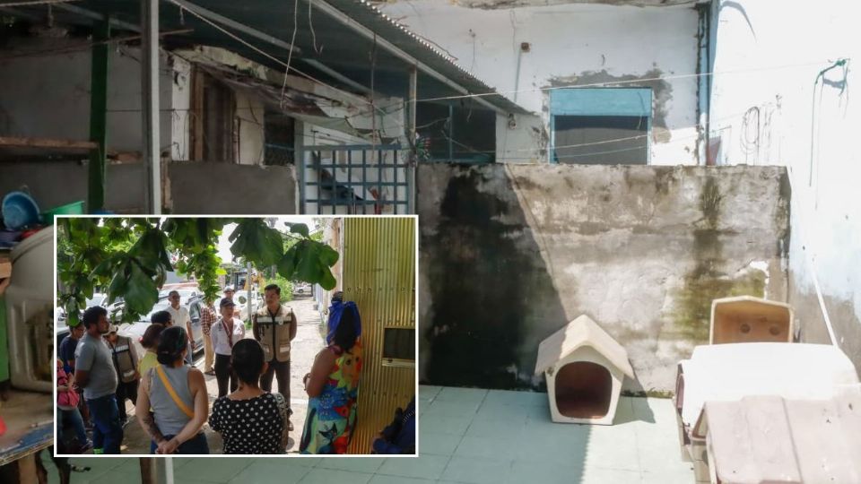 Tras críticas de activistas, PMA cubrirá los gastos de los perros y gatos rescatados del albergue La Roca de Veracruz