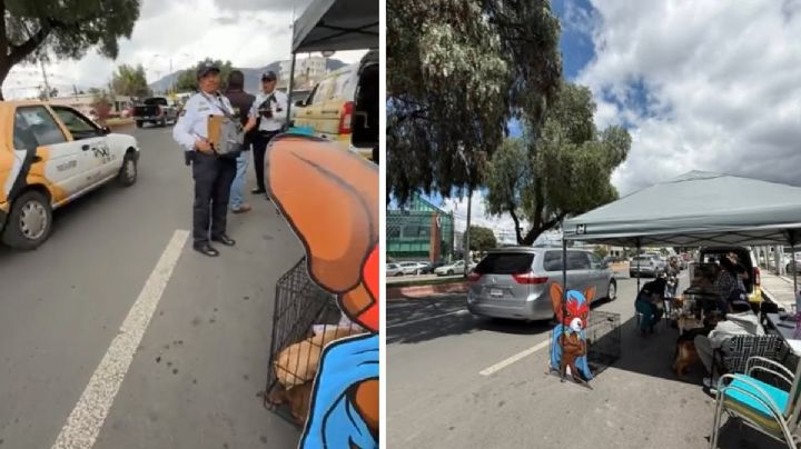 Denuncian retiro de módulo de adopciones en Pachuca: “Solo buscamos familias para nuestros perritos”