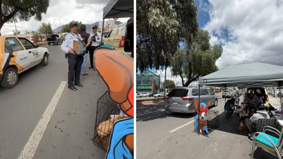 Personal de Comercio y Abasto de Pachuca retiró el módulo de adopciones en San Javier