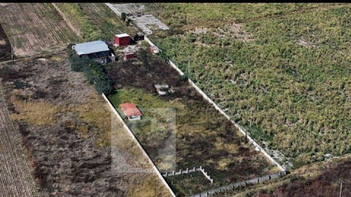 Guerreros Buscadores piden a Sheinbaum no “enterrar” la verdad del Rancho Izaguirre