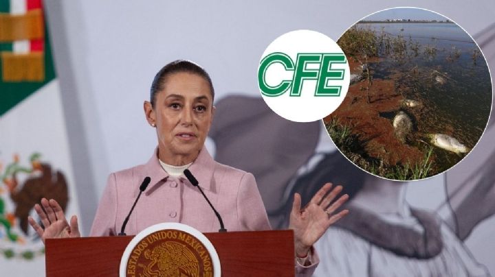 Deuda de 15 años de CFE por contaminación de laguna en Veracruz llega a "mañanera"