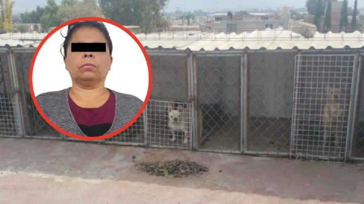 Rescatan a 102 animales en Tultepec; hay una detenida e investigan maltrato animal