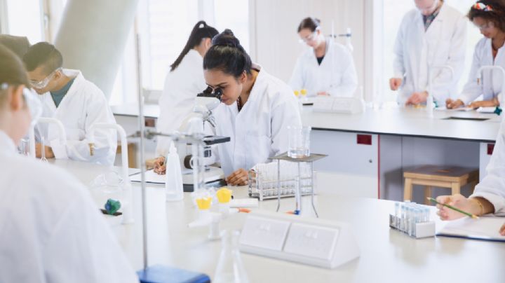 Difícilmente hay científicas: Estas son las estadísticas de niñas y mujeres en la ciencia