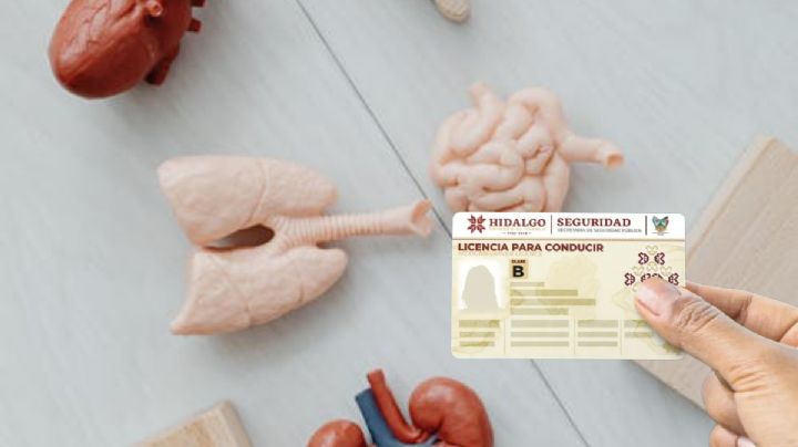 Congreso impulsa donación de órganos en credenciales de conducir