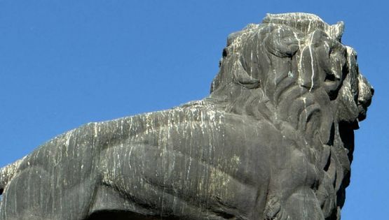 Al León del Arco de la Calzada: le escurre excremento de palomas