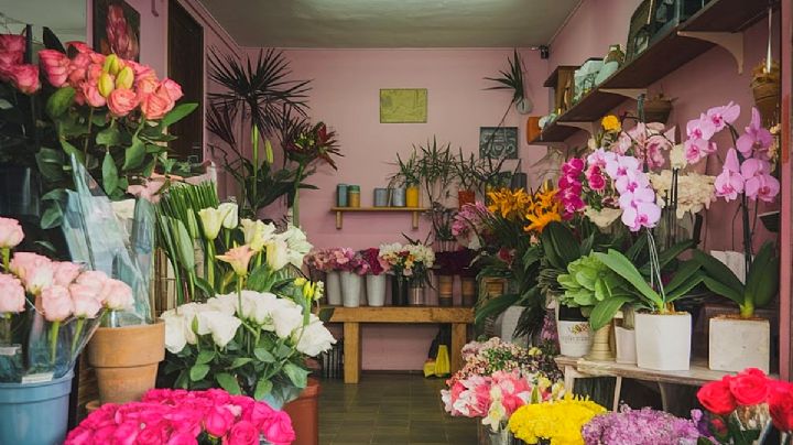 Las mejores florerías de León según Google Maps, para este 14 de febrero
