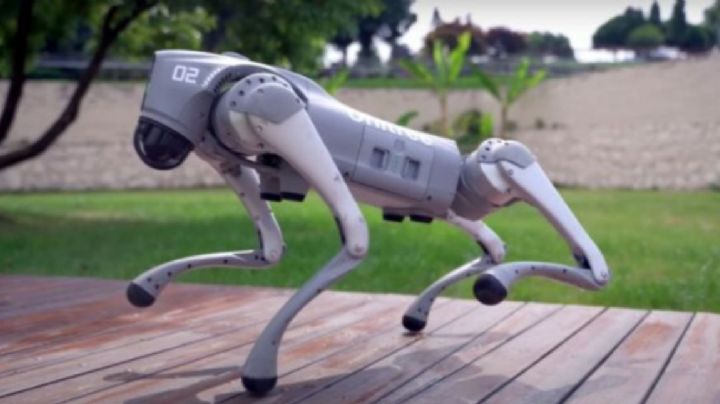 Nuevo León: Perros robot vigilarán el Estadio BBVA en el Mundial 2026