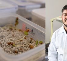 Conservación y reforestación en Hidalgo: Esto es un banco de germoplasma