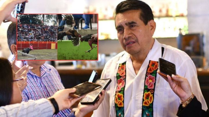 Se sancionará a responsables de maltrato animal en Ixhuatlancillo y Aquila: Esteban Bautista