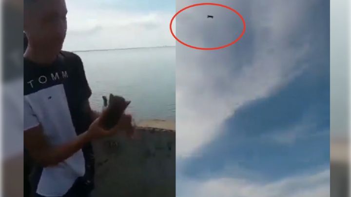 Detienen a hombre por arrojar gato al mar en Venezuela; video desata indignación