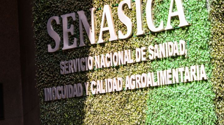 ASF detecta irregularidades por 17 millones de pesos en Senasica, encargado de combate a plagas