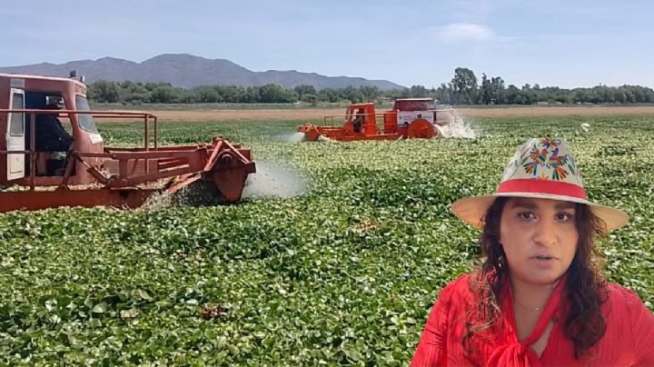 Falta de mantenimiento causó crisis en la presa Endhó: alcaldesa de Tepetitlán