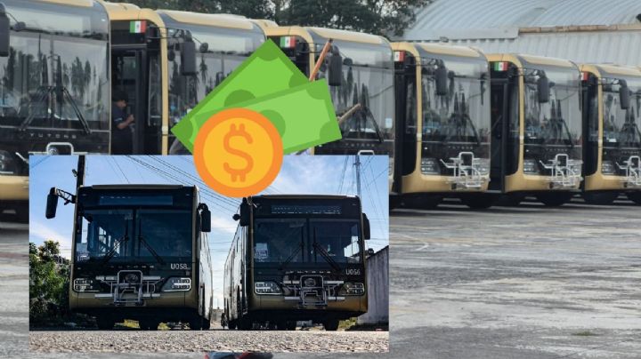 Este es el sueldo que tendrán choferes de camiones Ulúa de Veracruz - Boca del  Río