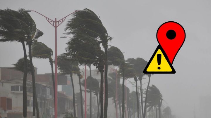 Frente frío 37: esta fue la racha más fuerte del Norte en el estado de Veracruz