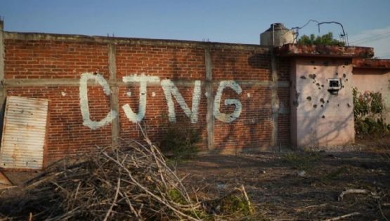 CJNG uses TikTok to recruit youth, Colmex experts warn