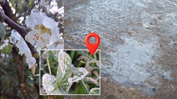 El municipio de Veracruz que se cubrió con extraña "helada blanca" hoy 24 de febrero