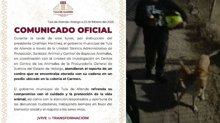 Atienden en Tula reporte de perro con indicios de maltrato