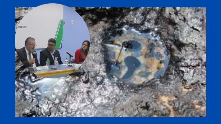 Exposición a metales pesados, riesgo crítico a la salud pública