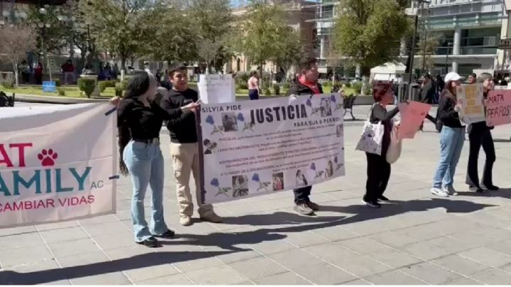 Acusan a Medio Ambiente de desaparecer y sacrificar más de 350 animales en Chihuahua