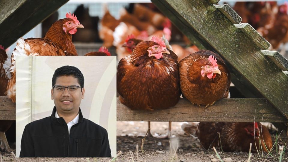 Alcalde de Actopan defiende granja avícola: Palma de Abajo respalda el proyecto