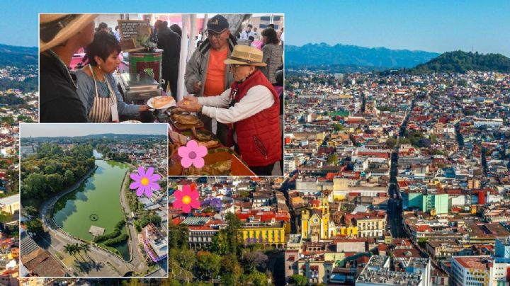 Xalapa tendrá nueva Feria de las Flores en 2026: mira dónde y cuándo