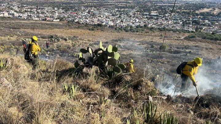 Tarde de incendios en Pachuca: uno cerca de la UAEH y otro de casas | VIDEO