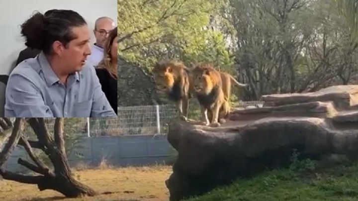 Defienden a nuevo director del Zoológico; aplazan despido