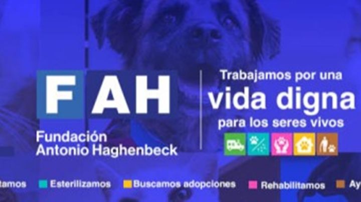 Denuncian malos manejos con edificios de la Fundación Hagenbeck