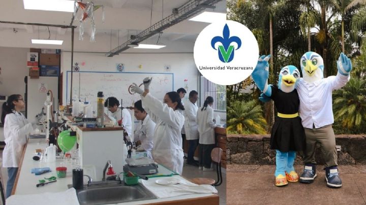 Estas son las 10 carreras más solicitadas en la Universidad Veracruzana, según Gemini