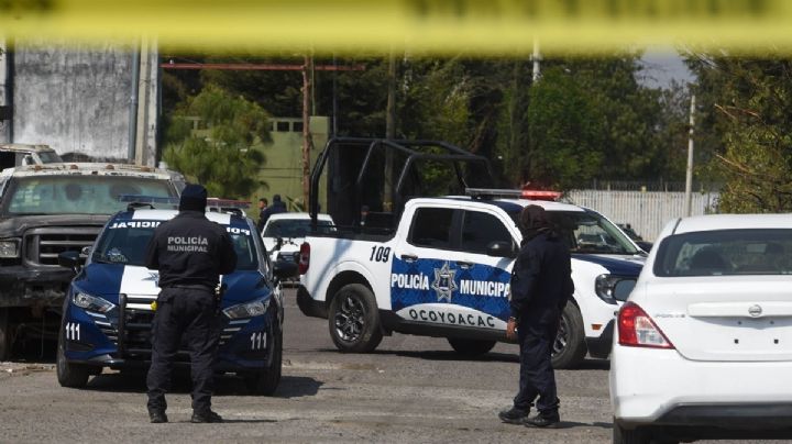 Hombre ebrio libera leones en Ocoyoacac; autoridades buscan a sus familiares