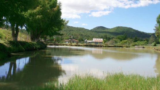 En Huasca un parque se llama “Leones”, pero en lugar de fieras salvajes hay tirolesa, balneario y más