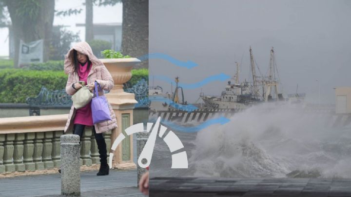 Norte en Veracruz hoy 12 de marzo: estas son las rachas máximas por frente frío
