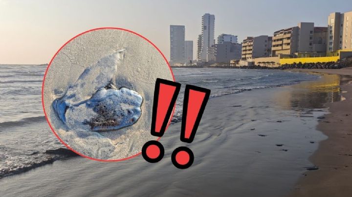 Playa Tortuga de Boca del Río amanece con manchas de hidrocarburo