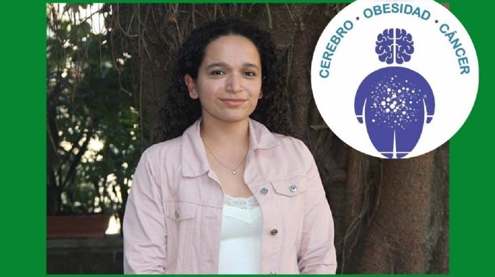 Dieta materna hipercalórica afecta desarrollo cerebral y sexual